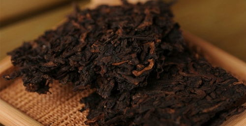 熟普洱茶的香韻與品味 從茶香到茶具的和諧之旅